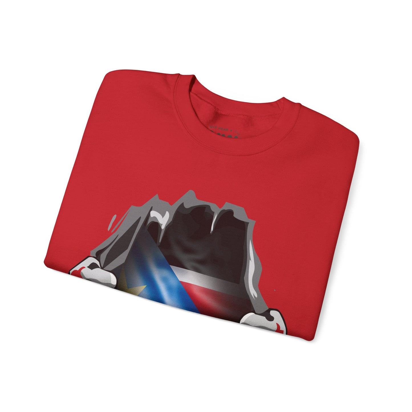 South Sudan Flag Sweatshirt - Unisex